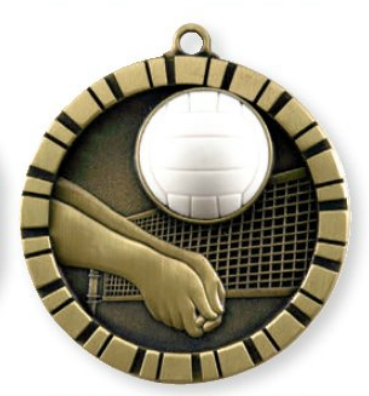 volleybal-medaille-m260